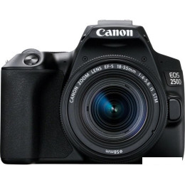 Зеркальный фотоаппарат Canon EOS 250D Kit 18-55 IS STM (черный)