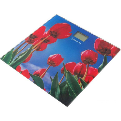 Напольные весы HomeStar HS-6001I
