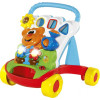 Сортер Chicco Baby Gardener 00009793000000