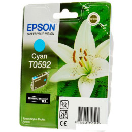 Картридж Epson C13T05924010