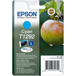Картридж Epson C13T12924012