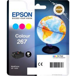 Картридж Epson C13T26704010