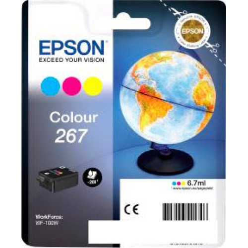 Картридж Epson C13T26704010