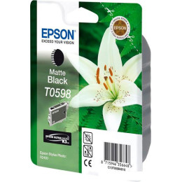 Картридж Epson C13T05984010