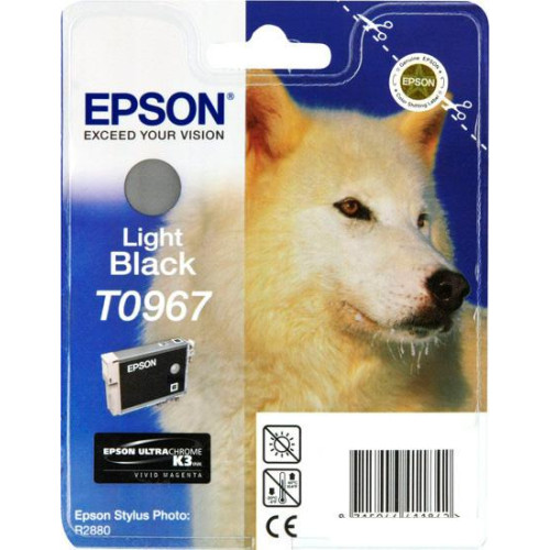 Картридж Epson C13T09674010