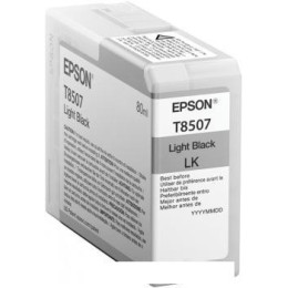 Картридж Epson C13T850700