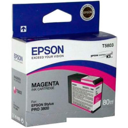 Картридж Epson C13T580300