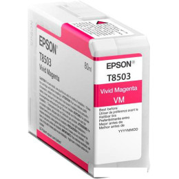Картридж Epson C13T850300