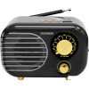 Радиоприемник TELEFUNKEN TF-1682UB (черный/золотистый)
