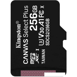 Карта памяти Kingston Canvas Select Plus microSDXC 256GB