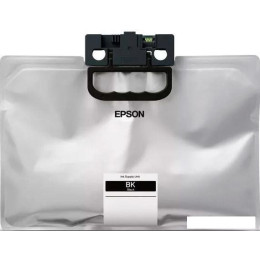 Картридж-чернильница (ПЗК) Epson C13T01D100
