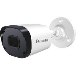 IP-камера Falcon Eye FE-IPC-BV2-50pa